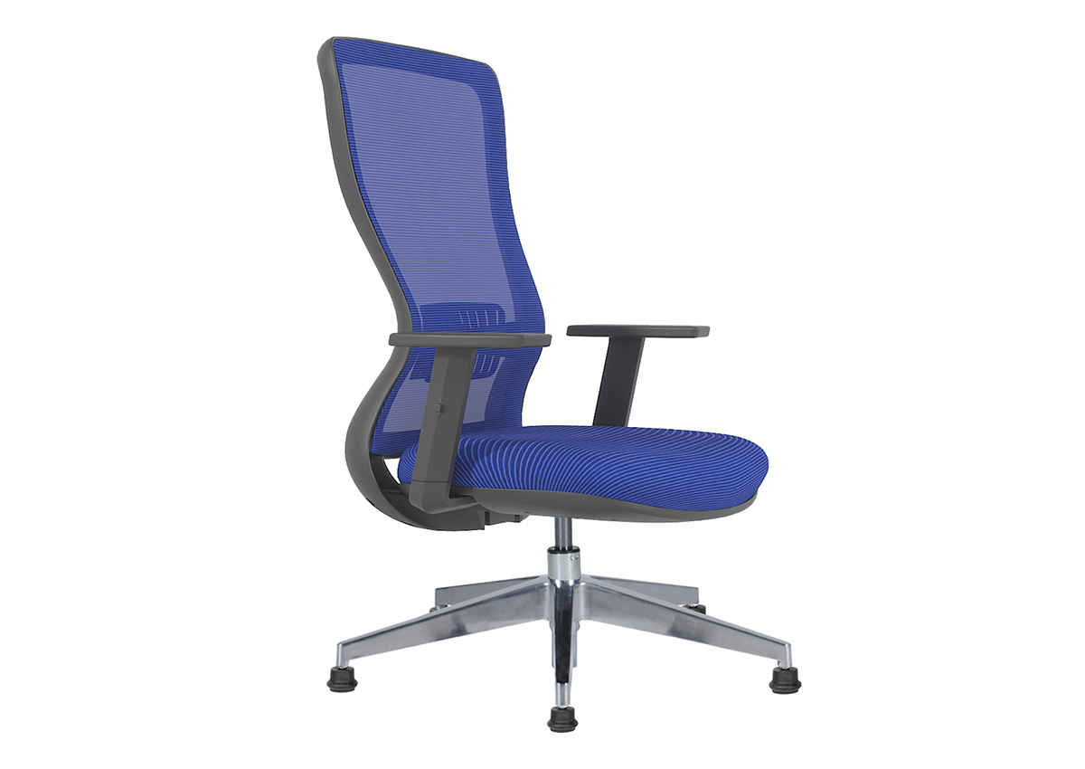 Arya Misafir Koltuğu